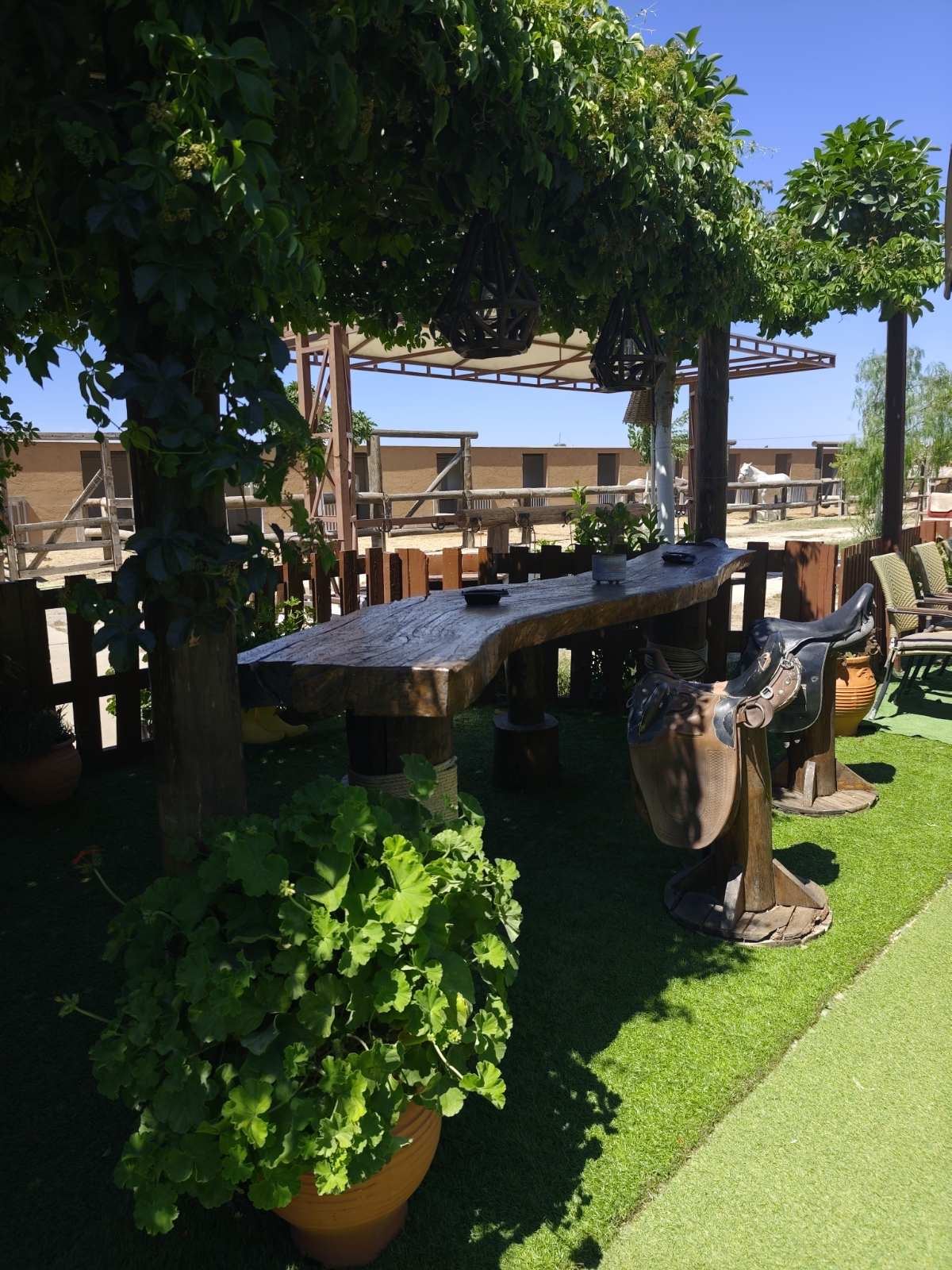 On-site cafeteria at the ranch