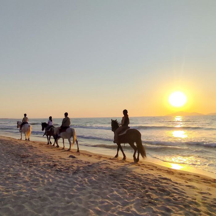 Sunset horse ride by the sea