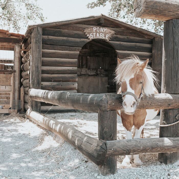 Horses and riders at The Ranch Kos
