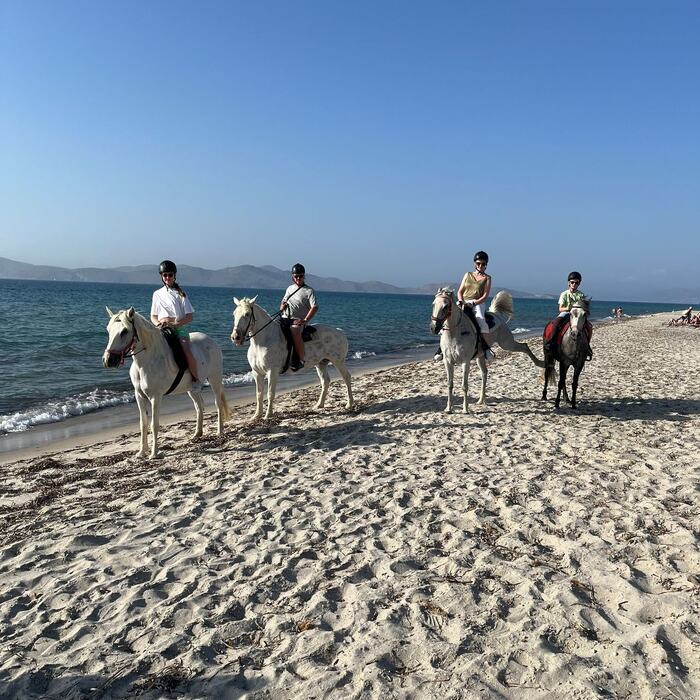 Beach horse ride along the Marmari coast