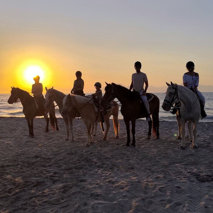 Sunset horse ride by the sea