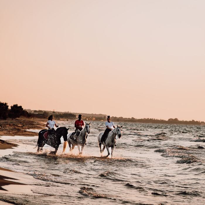 Swimming with horses in the sea