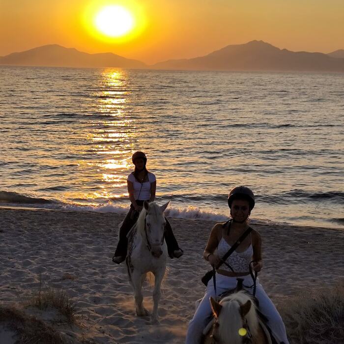 Sunset horse ride by the sea