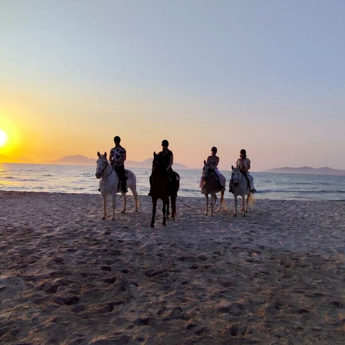 Sunset horse ride by the sea