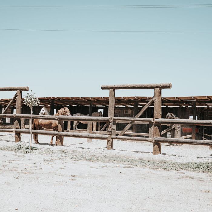 Horses and riders at The Ranch Kos