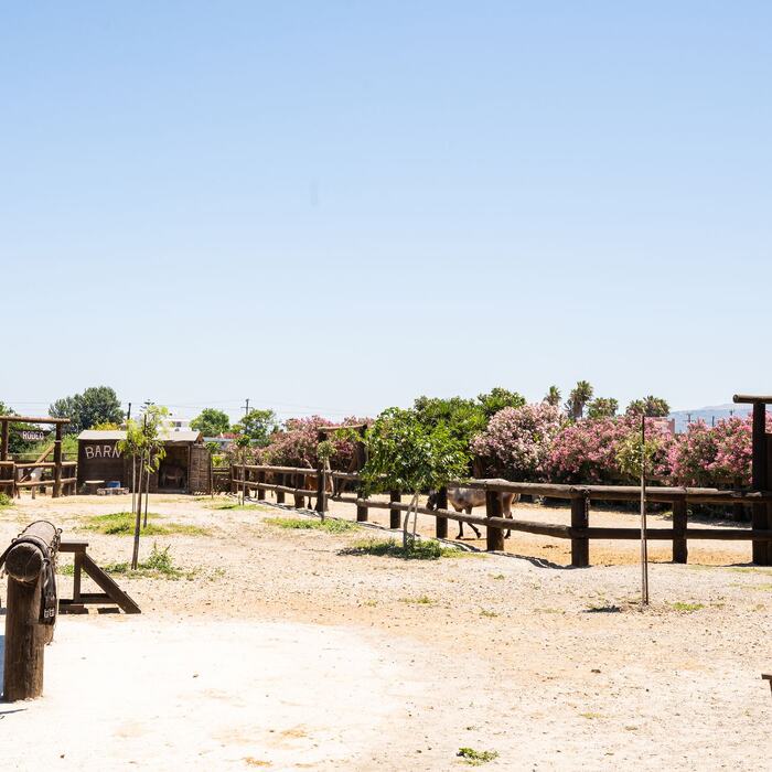 Horses and riders at The Ranch Kos