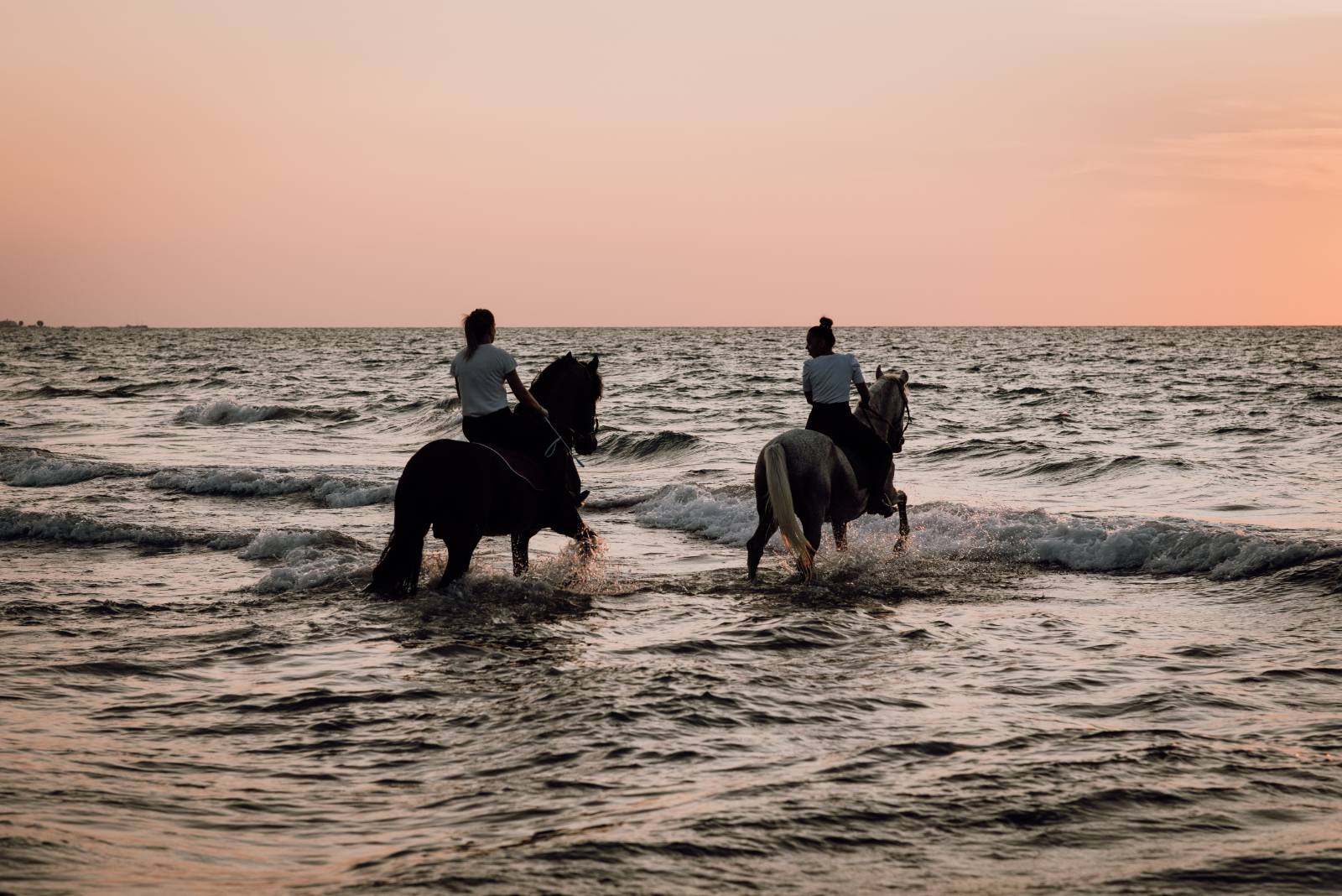 Horse ride at sunset