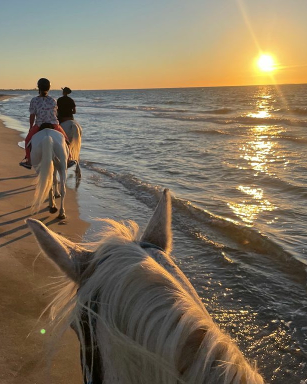 Riding lesson for a child