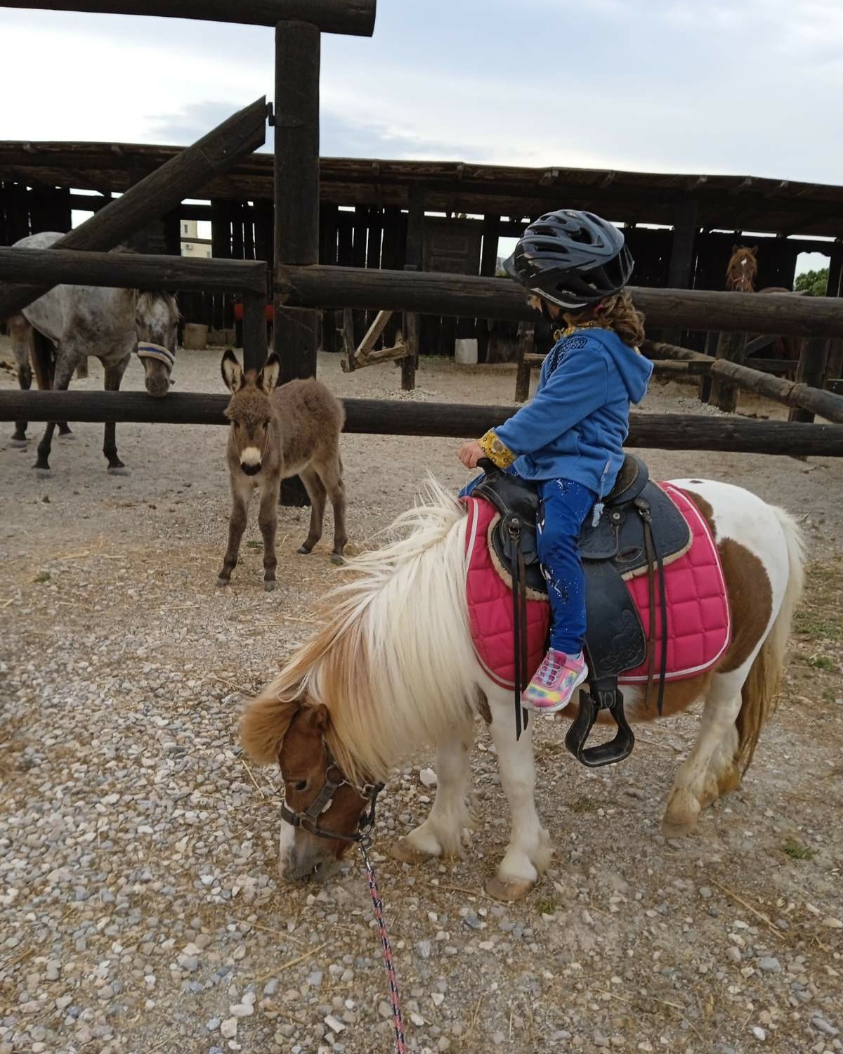 Pony riding for small children