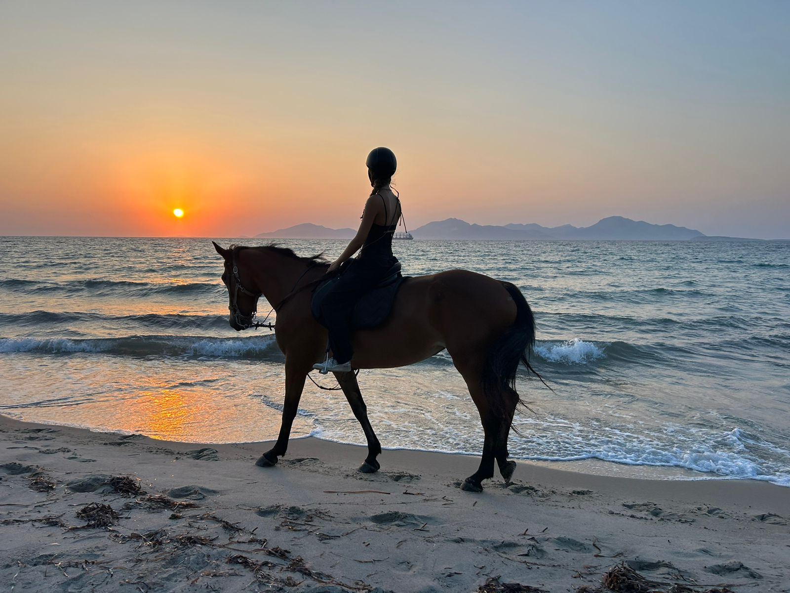 Private horse ride by the sea